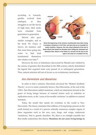 according       to        Lamarck,                                              leg
                                            antenna
giraffes     evolved         from
                                                               eyes
antelopes;           as       they
struggled to eat the leaves
of high trees, their necks
were       extended          from
generation to generation.
     Darwin          also    gave                            mouth

similar examples, and in
                                      Since the beginning of the century, evolutionists have been trying
his book The Origin of
                                      to produce mutations in fruit flies, and give this as an example for
Species, for instance, said              useful mutation. However, the only result obtained at the end of
                                     these efforts that lasted for decades were disfigured, diseased and
that some bears going into
                                        defective flies. Above is the head of a normal fruit fly and on the
water      to        find     food                                  right is the head of a mutated fruit fly.

transformed           themselves
into whales over time.51
     However, the laws of inheritance discovered by Mendel and verified by
the science of genetics that flourished in the 20th century, utterly demolished
the legend that acquired traits were passed on to subsequent generations.
Thus, natural selection fell out of favour as an evolutionary mechanism.


     Neo-Darwinism and Mutations
     In order to find a solution, Darwinists advanced the "Modern Synthetic
Theory", or as it is more commonly known, Neo-Darwinism, at the end of the
1930's. Neo-Darwinism added mutations, which are distortions formed in the
genes of living beings because of external factors such as radiation or
replication errors, as the "cause of favourable variations" in addition to natural
mutation.
     Today, the model that stands for evolution in the world is Neo-
Darwinism. The theory maintains that millions of living beings present on the
earth formed as a result of a process whereby numerous complex organs of
these organisms such as the ears, eyes, lungs, and wings, underwent
"mutations," that is, genetic disorders. Yet, there is an outright scientific fact
that totally undermines this theory: Mutations do not cause living beings to




                              ISLAM DENOUNCES TERRORISM q 160
 