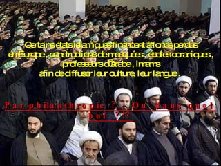 Certains états islamiques financent à fonds perdus en Europe , constructions de mosquées , écoles coraniques , professeurs d’arabe , imams afin de diffuser leur culture, leur langue .    Par philanthropie ?..  Ou  dans quel  but  ?!? 