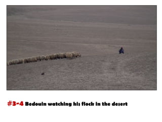#3-4 Bedouin watching his flock in the desert
 