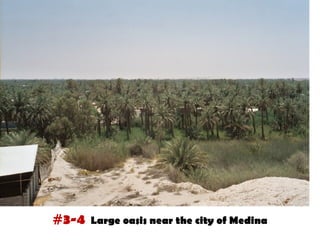 #3-4   Large oasis near the city of Medina
 