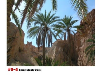 #3-4 Small Arab Oasis
 