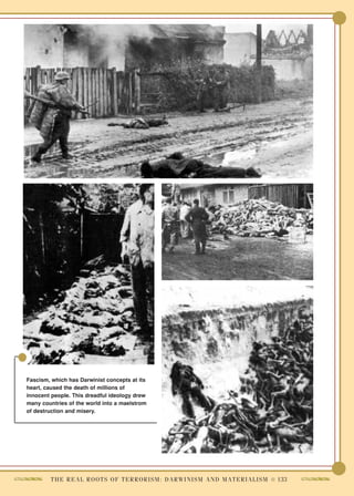 Islami Denon Terrorismin