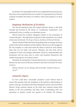 Islami Denon Terrorismin