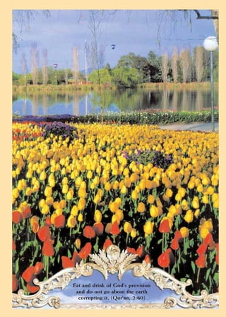 Islami Denon Terrorismin