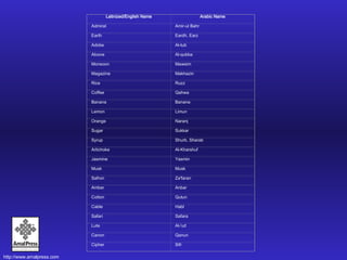 Latinized/English Name Arabic Name Admiral Amir-ul Bahr Earth Eardh, Earz Adobe Al-tub Alcove Al-qubba Monsoon Mawsim Magazine Makhazin Rice Ruzz Coffee Qahwa Banana Banana Lemon Limun Orange Naranj Sugar Sukkar Syrup Shurb, Sharab Artichoke Al-Kharshuf Jasmine Yasmin Musk Musk Safron Za'faran Amber Anbar Cotton Qutun Cable Habl Safari Safara Lute Al-'ud Canon Qanun Cipher Sifr 