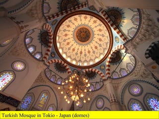 Turkish Mosque in Tokio - Japan (domes) 