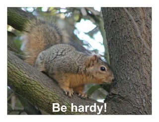 Leading from the Heart