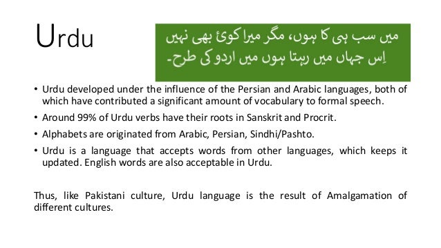 pakistani language