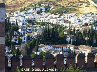 BARRIO DEL ALBAICÍN 