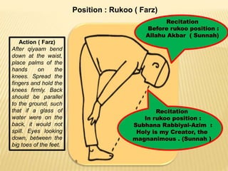 Position : Rukoo ( Farz)
Action ( Farz)
After qiyaam bend
down at the waist,
place palms of the
hands on the
knees. Spread the
fingers and hold the
knees firmly. Back
should be parallel
to the ground, such
that if a glass of
water were on the
back, it would not
spill. Eyes looking
down, between the
big toes of the feet.
 