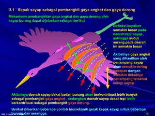 10SDJ / Islam Sci / 2006
1
2
3
4
3.1 Kepak sayap sebagai pembangkit gaya angkat dan gaya dorong
Defleksi kepakan
semakin besar pada
daerah tepi sayap ,
sehingga sudut
serang pada daerah
ini semakin besar
Akibatnya gaya angkat
yang dihasilkan oleh
penampang sayap
akan semakin miring
kedepan dengan
semakin dekatnya
penampang tersebut
ketepi sayap
Akibatnya daerah sayap dekat badan burung akan berkontribusi lebih banyak
sebagai pembangkit gaya angkat , sedangkan daerah sayap dekat tepi lebih
berkontribusi sebagai pembangkit gaya dorong.
Mekanisme pembangkitan gaya angkat dan gaya dorong oleh
sayap burung dapat dijelaskan sebagai berikut
Berikut diberikan beberapa contoh biomekanik gerak kepak sayap untuk beberapa
burung dan serangga.
 