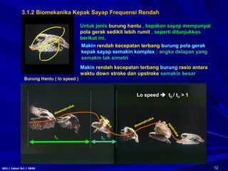 12SDJ / Islam Sci / 2006
Burung Hantu ( lo speed )
Untuk jenis burung hantu , kepakan sayap mempunyai
pola gerak sedikit lebih rumit , seperti ditunjukkan
berikut ini.
Makin rendah kecepatan terbang burung pola gerak
kepak sayap semakin komplex : angka delapan yang
semakin tak simetri
upstroke
upstroke
downstroke
downstroke
Makin rendah kecepatan terbang burung rasio antara
waktu down stroke dan upstroke semakin besar
tD tU
Lo speed  tD / tU > 1
3.1.2 Biomekanika Kepak Sayap Frequensi Rendah
 