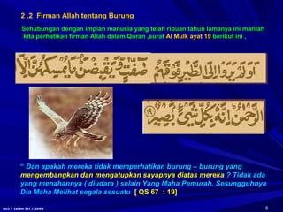 6SDJ / Islam Sci / 2006
“ Dan apakah mereka tidak memperhatikan burung – burung yang
mengembangkan dan mengatupkan sayapnya diatas mereka ? Tidak ada
yang menahannya ( diudara ) selain Yang Maha Pemurah. Sesungguhnya
Dia Maha Melihat segala sesuatu [ QS 67 : 19]
Sehubungan dengan impian manusia yang telah ribuan tahun lamanya ini marilah
kita perhatikan firman Allah dalam Quran ,surat Al Mulk ayat 19 berikut ini ,
2 .2 Firman Allah tentang Burung
 