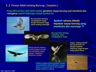 8SDJ / Islam Sci / 2006
Angsa sedang takeoff
dari permukaan air
dengan kepakan
frekuensi tinggi dengan
sudut attack besar
Pelikan sedang terbang jelajah dengan
memanfaatkan efek kedekatan dengan
tanah ( in ground effect) dan kepakan
sayap frekuensi sedang
Elang rajawali sedang
terbang jelajah dengan
merentangkan sayap
dengan kepakkan
frekuensi rendah
Burung Hantu terbang
mengepakkan sayap
dengan frekuensi tinggi
untuk terbang menanjak
Burung Hantu terbang
melayang tanpa
mengepakkan sayap
2 .2 Firman Allah tentang Burung ( lanjutan )( lanjutan )
Yang difirmankan oleh Allah adalah gerakkan sayap burung saat membuka dan
mengatup seperti beberapa contoh berikut ini
Apakah rahasia dibalik
kepakan sayap burung yang
membuka dan menutup ??
 