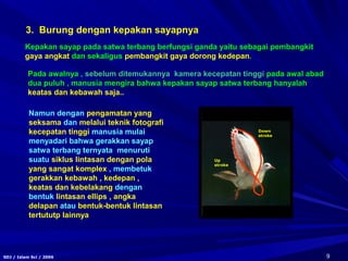 9SDJ / Islam Sci / 2006
3. Burung dengan kepakan sayapnya
Kepakan sayap pada satwa terbang berfungsi ganda yaitu sebagai pembangkit
gaya angkat dan sekaligus pembangkit gaya dorong kedepan.
Namun dengan pengamatan yang
seksama dan melalui teknik fotografi
kecepatan tinggi manusia mulai
menyadari bahwa gerakkan sayap
satwa terbang ternyata menuruti
suatu siklus lintasan dengan pola
yang sangat komplex , membetuk
gerakkan kebawah , kedepan ,
keatas dan kebelakang dengan
bentuk lintasan ellips , angka
delapan atau bentuk-bentuk lintasan
tertututp lainnya
Pada awalnya , sebelum ditemukannya kamera kecepatan tinggi pada awal abad
dua puluh , manusia mengira bahwa kepakan sayap satwa terbang hanyalah
keatas dan kebawah saja..
Up
stroke
Down
stroke
 