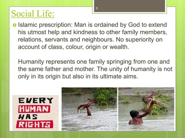 islam a complete code of life essay 500 words