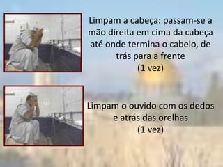 Limpam a cabeça: passam-se a
mão direita em cima da cabeça
até onde termina o cabelo, de
      trás para a frente
            (1 vez)


Limpam o ouvido com os dedos
     e atrás das orelhas
           (1 vez)
 