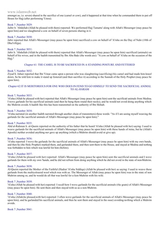 Islam - Saheeh Muslim Hadith