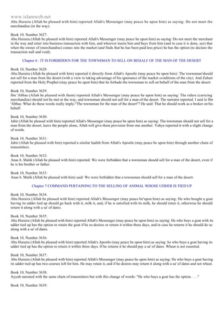 Islam - Saheeh Muslim Hadith