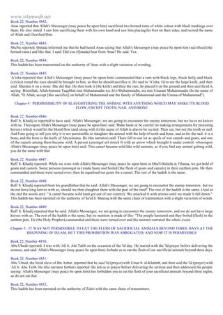 Islam - Saheeh Muslim Hadith