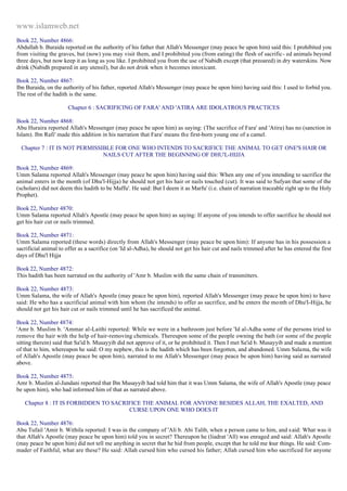 Islam - Saheeh Muslim Hadith