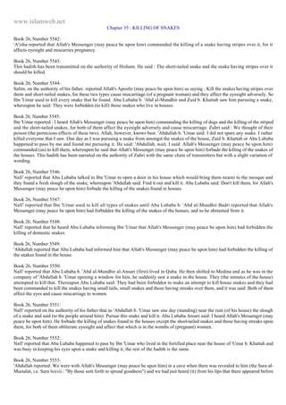 Islam - Saheeh Muslim Hadith