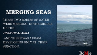 MERGING SEAS
THESE TWO BODIES OF WATER
WERE MERGING IN THE MIDDLE
OF THE
GULF OF ALASKA
AND THERE WAS A FOAM
DEVELOPING ONLY AT THEIR
JUNCTION.
RoMie
 