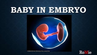 BABY IN EMBRYO
RoMie
 
