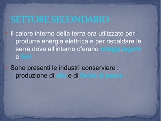 SETTORE SECONDARIOSETTORE SECONDARIO
●
Il calore interno della terra era utilizzato per
produrre energia elettrica e per riscaldare le
serre dove all'interno c'erano ortaggi,legumi
e fiori
●
Sono presenti le industri conserviere :
produzione di olio e di farine di pesce
 