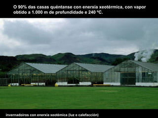 O 90% das casas quéntanse con enerxía xeotérmica, con vapor obtido a 1.000 m de profundidade e 240 ºC. invernadoiros con enerxía xeotémica (luz e calefacción) 