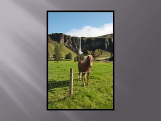 Islandia estiu 2010