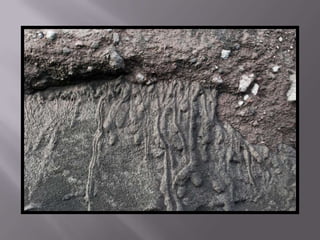 Islandia estiu 2010