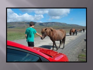 Islandia estiu 2010