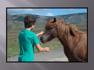 Islandia estiu 2010
