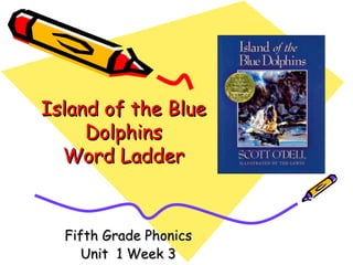 Island of the Blue Dolphins Word Ladder Fifth Grade Phonics Unit  1 Week 3 