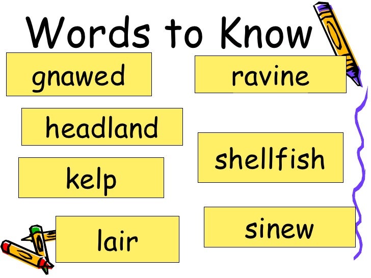 Island Of The Blue Dolphin Vocabulary