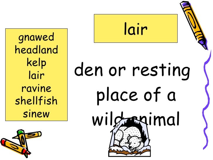 Island Of The Blue Dolphin Vocabulary