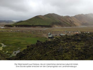 Der Wald besteht aus Felslava, die ein meterhohes steinernes Labyrinth bildet. 
Eine Stunde später erreichen wir den Campingplatz von Landmannalaugur. 
 