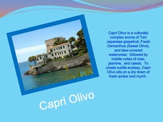 Capri Olivo is a culturally
   complex aroma of Tart
Japanese grapefruit, Fresh
 Osmanthus (Sweet Olive),
      and dew-covered
  watercress; followed by
    middle notes of rose,
 jasmine, and cassis. To
create subtle ecstasy, Capri
 Olivo sits on a dry down of
  fresh amber and myrrh.
 