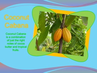 Coconut
Cabana
Coconut Cabana
 is a combination
  of just the right
  notes of cocoa
butter and tropical
       fruits.
 
