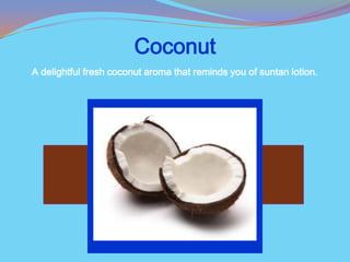 Coconut
A delightful fresh coconut aroma that reminds you of suntan lotion.
 