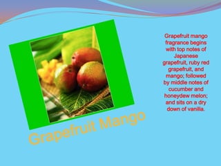 Grapefruit mango
 fragrance begins
  with top notes of
     Japanese
grapefruit, ruby red
   grapefruit, and
  mango; followed
by middle notes of
   cucumber and
 honeydew melon;
 and sits on a dry
  down of vanilla.
 