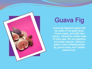 Guava Fig
 Guava fig fragrance begins with
   top notes of Fuji apple slices,
   French cassis, and Kaffir lime
leaves; followed by middle notes
of Anjou pear, Rio red grapefruit,
  and sweet valencia; sitting on
  bottom notes of Mediterranean
  fig, guava nectar, and Tahitian
           passion fruit.
 