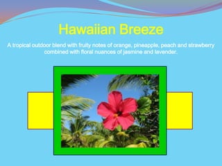 Hawaiian Breeze
A tropical outdoor blend with fruity notes of orange, pineapple, peach and strawberry
               combined with floral nuances of jasmine and lavender.
 