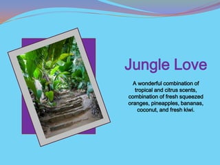 Jungle Love
  A wonderful combination of
   tropical and citrus scents,
combination of fresh squeezed
oranges, pineapples, bananas,
    coconut, and fresh kiwi.
 