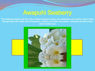 Awapuhi Seaberry
This fragrance begins with top notes of Italian bergamot extract, tart seaberries, and marine, ozonic notes;
 flowing nicely into middle notes of geranium, jasmine, and fresh rose petals; well-balanced with a base
                                             note of white musk.
 