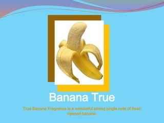 Banana True
True Banana Fragrance is a wonderful strong single note of fresh
                      ripened banana.
 