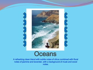Oceans
A refreshing clean blend with subtle notes of citrus combined with floral
 notes of jasmine and lavender, with a background of musk and wood
                                notes.
 