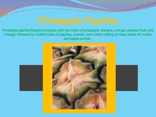 Pineapple Paprika
Pineapple paprika fragrance begins with top notes of pineapple, banana, orange, passion fruit, and
 mango; followed by middle notes of paprika, powder, and cotton; sitting on base notes of musks
                                       and apple woods.
 