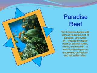 Paradise
   Reef
This fragrance begins with
notes of nectarine, bird of
    paradise, and water
 lily, followed by middle
 notes of passion flower,
 orchid, and hyacinth. A
 well-rounded fragrance
 empowered by fresh air
   and salt water notes.
 